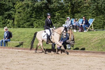 Bild 525 - Pony Akademie Turnier
